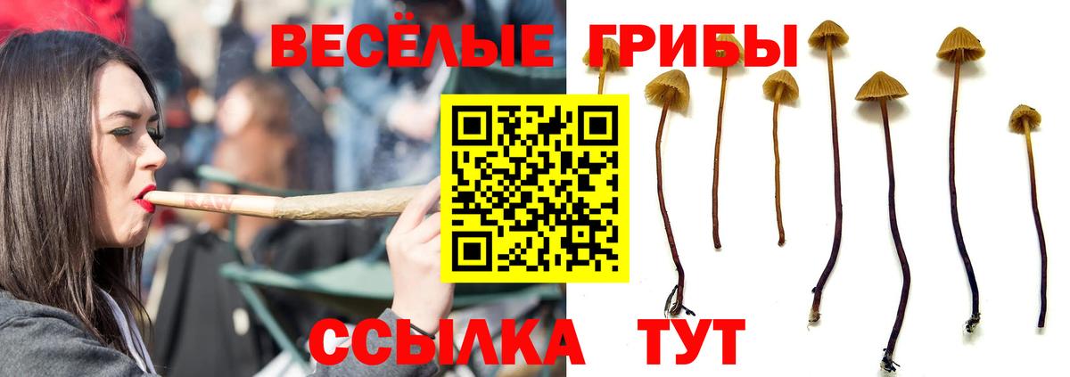 Галлюциногенные грибы прущие грибы  где купить   Димитровград  Псилоцибиновые грибы Magic Shrooms  Вход с VPN 